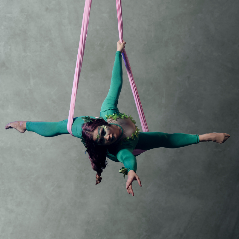 V1llains: Recital Packages