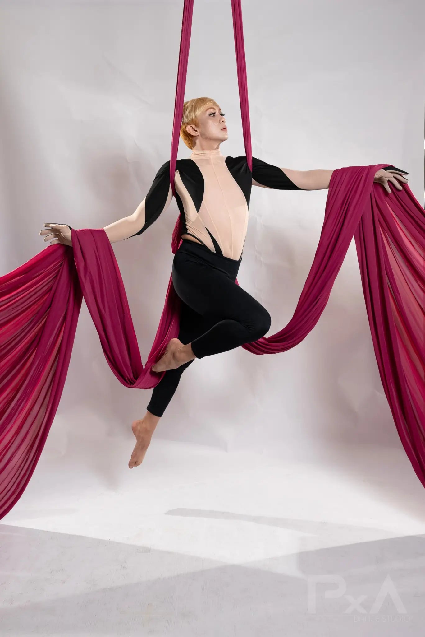 Aerial Classes Silks Class